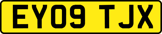 EY09TJX
