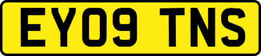 EY09TNS