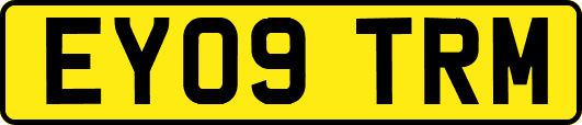 EY09TRM