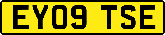 EY09TSE