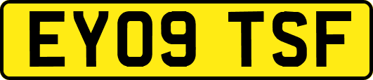 EY09TSF