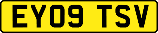 EY09TSV