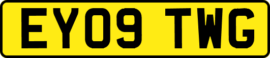 EY09TWG
