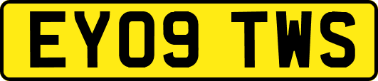 EY09TWS