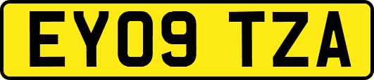 EY09TZA