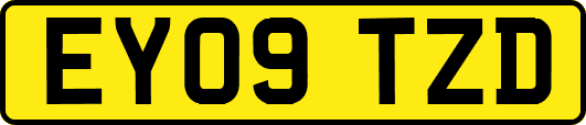 EY09TZD