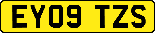 EY09TZS