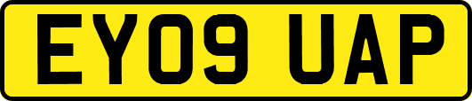 EY09UAP