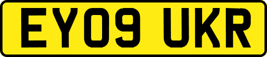 EY09UKR