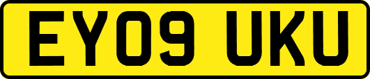 EY09UKU