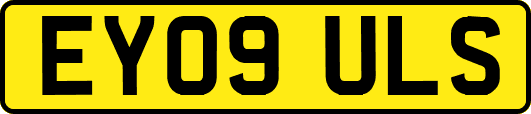EY09ULS