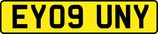 EY09UNY