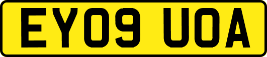 EY09UOA