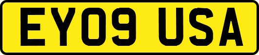 EY09USA
