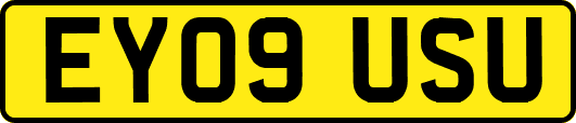 EY09USU