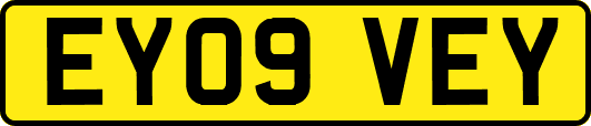 EY09VEY