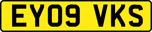 EY09VKS