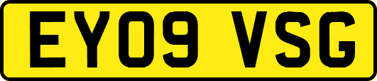 EY09VSG