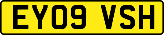 EY09VSH