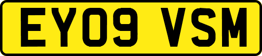 EY09VSM