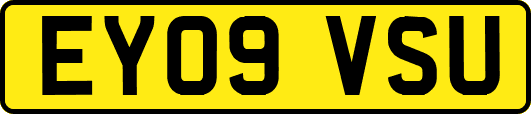 EY09VSU