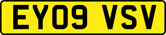 EY09VSV