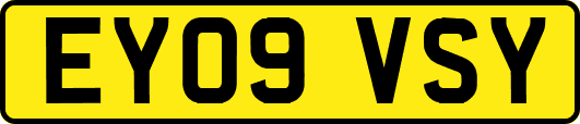 EY09VSY
