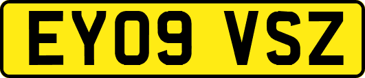 EY09VSZ