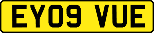 EY09VUE