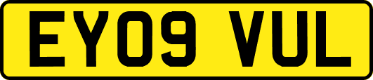 EY09VUL