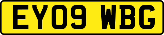 EY09WBG