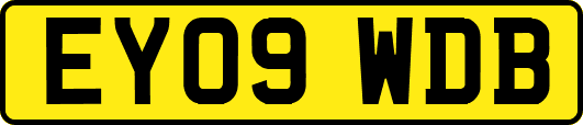 EY09WDB