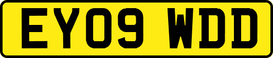 EY09WDD