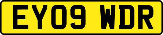 EY09WDR