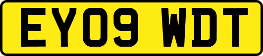 EY09WDT