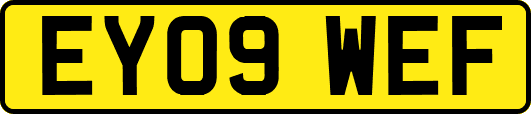 EY09WEF