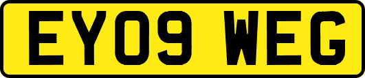 EY09WEG