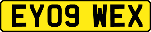EY09WEX
