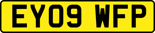 EY09WFP