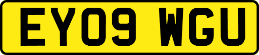 EY09WGU