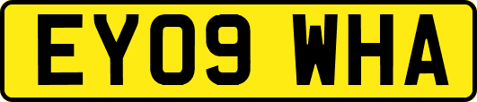 EY09WHA