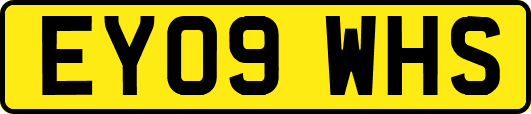 EY09WHS