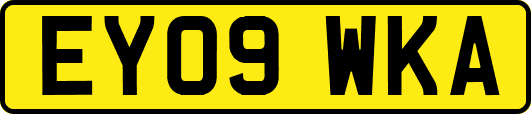 EY09WKA