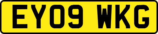 EY09WKG