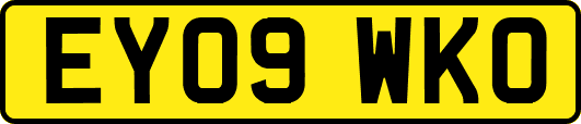 EY09WKO