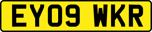 EY09WKR