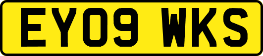 EY09WKS