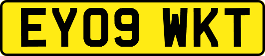 EY09WKT