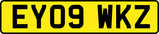 EY09WKZ