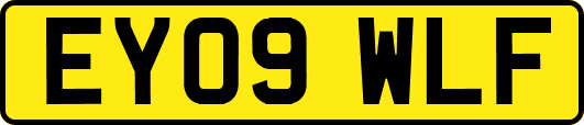 EY09WLF